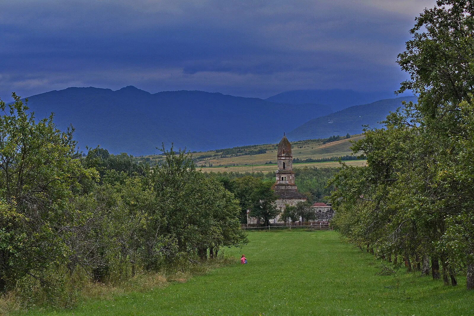 Densuș Church